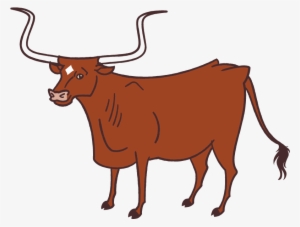 Texas State Animals 1