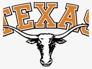 Texas Longhorns Plastic Stickers