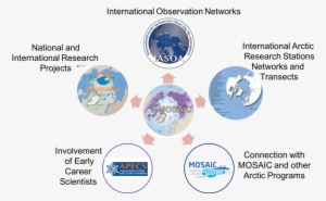 How Will T-mosaic Be To Implemented - Implementation