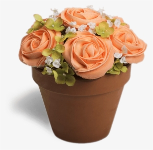 S-potted In Orange - Flower