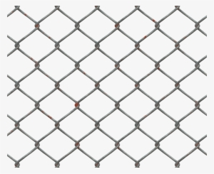Chain Link Netting Fence, Chain Link Netting Fence - Buchenwald Concentration Camp