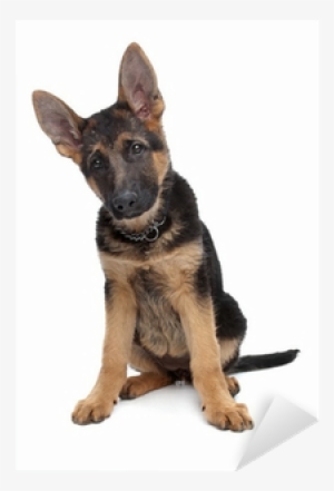 Wuapu German Shepherd Dog Shampoo 250 Ml.