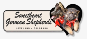 Parent-teacher Conferencing By Gerda Lawrence