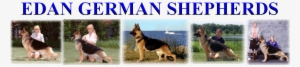 Edan German Shepherds, Ann Scultz - New Mexico