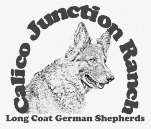 Akc Registered Pure Bred Long Coat German Shepherd - Town Of Bay Harbor Islands Tot Lot