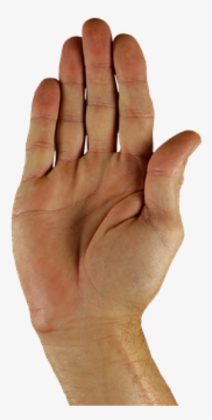 Hand-1006422 - Gesture
