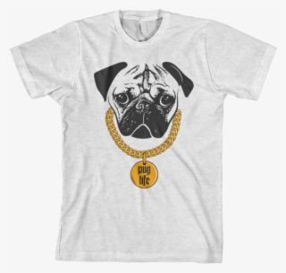 Distressed Nasa Logo - Nasa Logo