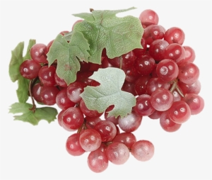 Grape Png Image Download, Free Picture - Виноград