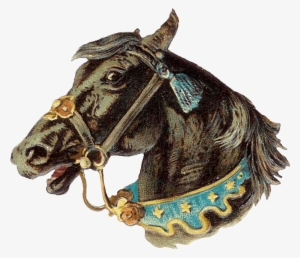 Vintage Horse Head Png - Vintage Circus Png