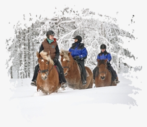 Carousel Horse Short - Kakslauttanen Arctic Resort East Village