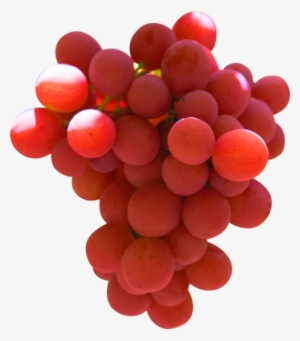 Table Grapes - Ralli Grapes