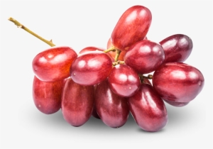 Grapes - Grape