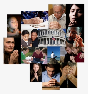 Deterioro Cognitivo En Adultos Mayores De Mexico