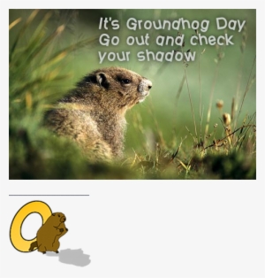 It's Groundhog Day - Groundhog Day