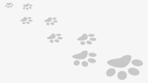 Providing The Best Care For Your Pet In Weaverville - Dog Lover Boxed Bangle Bracelet, Dogs Make My Life