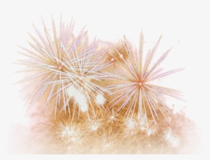 Feu D Artifice Png - Happy New Year 2011
