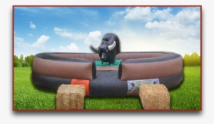 Slider Mechanical Bull - Spiritual Anointments For The Heart