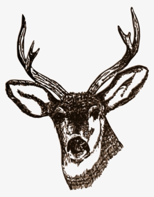 How To Set Use Deer Svg Vector