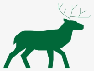 Deer Safari - Vector Graphics