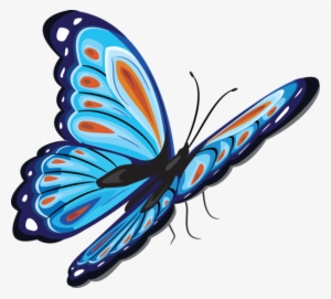 Butterfly Png