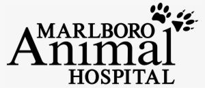 Marlboro Logojesseca Dapper2018 10 30t08 - Athelas