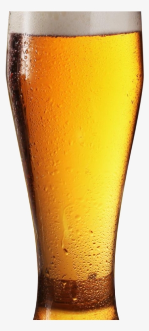 Beer Glass Png Transparent Image - Beer Glass Png Transparent
