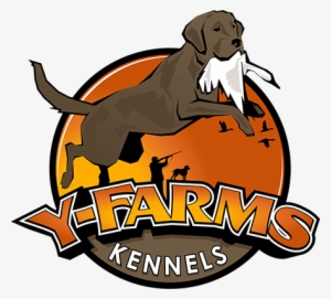 Y Farms Is A Family Owned And Operated Dog Kennel Located - Dogs Farm Logos