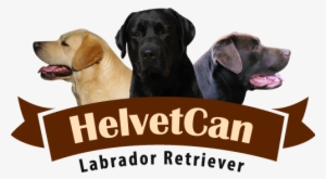 Helvet Can - Lantern Press - Huntington Beach