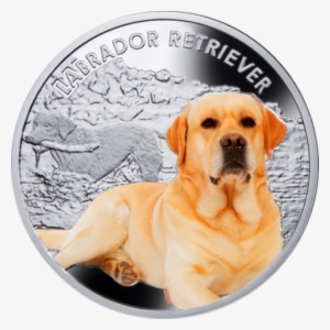 Niue Islands - Niue Island Coins