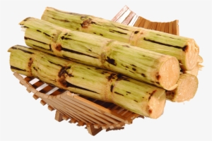 Sugar Cane - Cana De Açucar Png