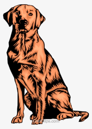 Labrador Retriever Royalty Free Vector Clip Art Illustration - Labrador-retriever.png Shower Curtain