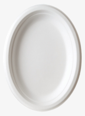 Sugarcane Plates - Plate