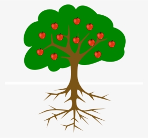 Clip Art Tree With Roots - Tree Clipart With Roots And Fruits