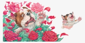 26-27 - Portable Network Graphics