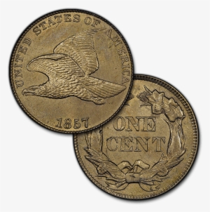 Uncirculated Coin