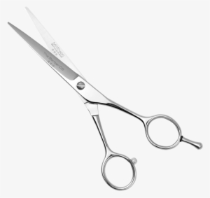 Picture Of The C6 - Scissors
