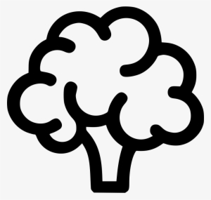 Brocolli Comments - Broccoli