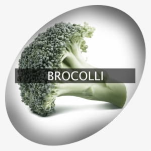 Landingimage Igrow Brocolli - Broccoli