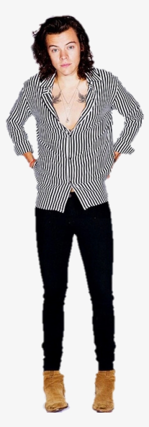 29 Images About Png On We Heart It - Harry Styles Cardboard Cutout 2016