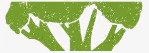 Brocolli-700x200 - Illustration