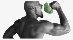 Wayne Brocolli - Google Images
