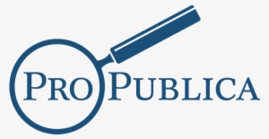 Marine To Be Imprisoned Over Involvement With Hate - Propublica Logo