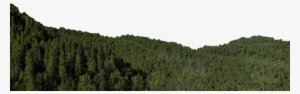 Go To Image - Wald Transparent