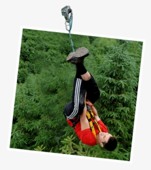 Zipline - Zipline International