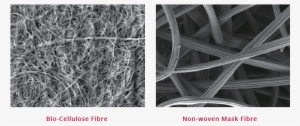 Bio-cellulose Fibre Adheres Perfectly To Your Skin - Fiber