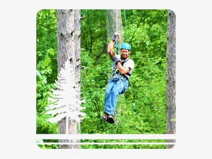 Co-owner Northwoods Zip Line - Rainforest