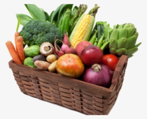 Healthy Food Png Transparent Images - Nutrition Educator Proficiency Badge