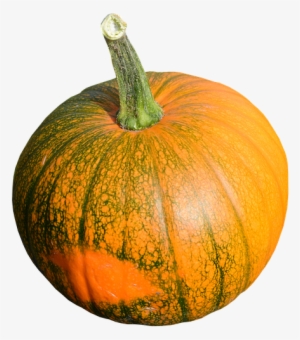 Cocumber, Vegetable, Fruit, Healthy, Food, Green, Lunch - Food