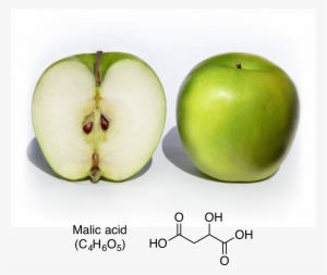 Common Weak Acids - Cross Section Of Fruit