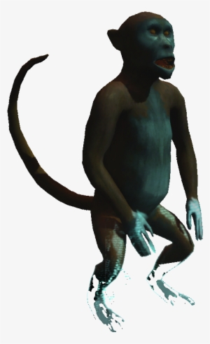 Howler Monkey - Assassin's Creed